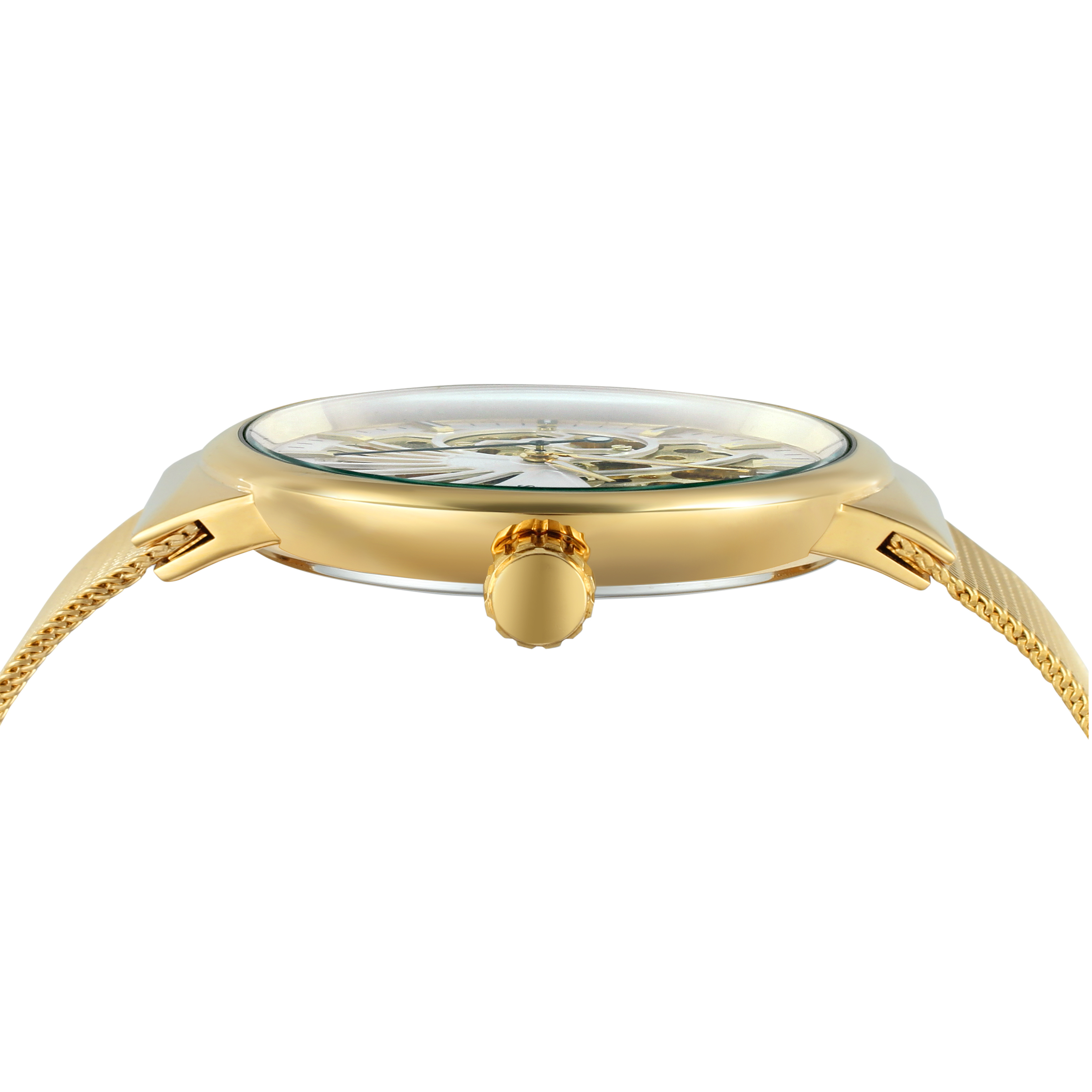 SKROX Luxury Brands Fashion Ma – Luxury Watch Repair Bewertung und Preis
